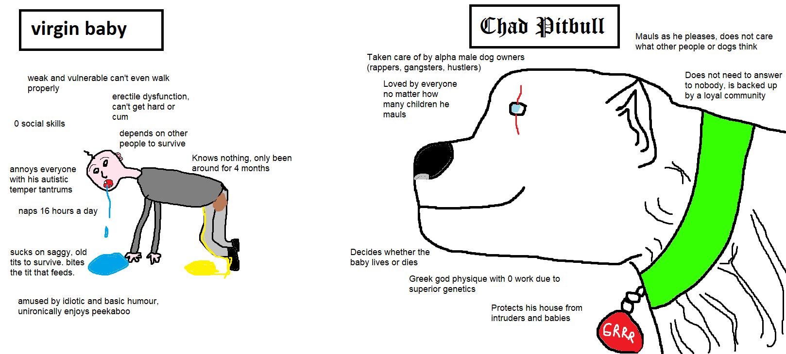 VvC-pibble.png