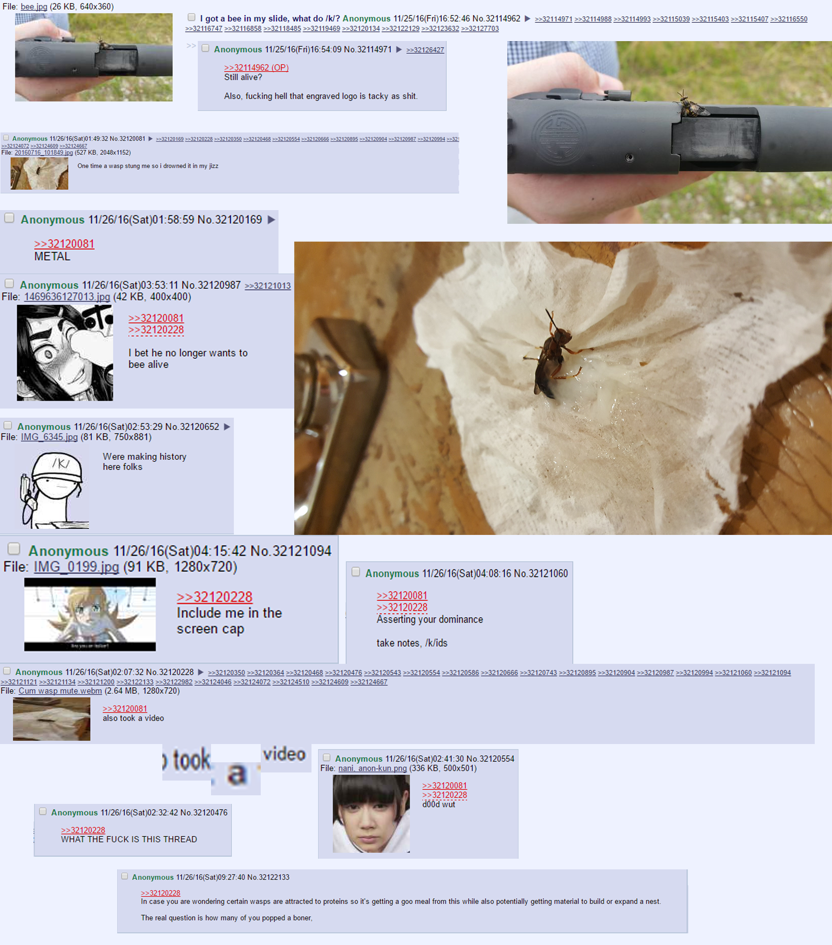 wasp.png