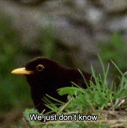 we just don't know.gif