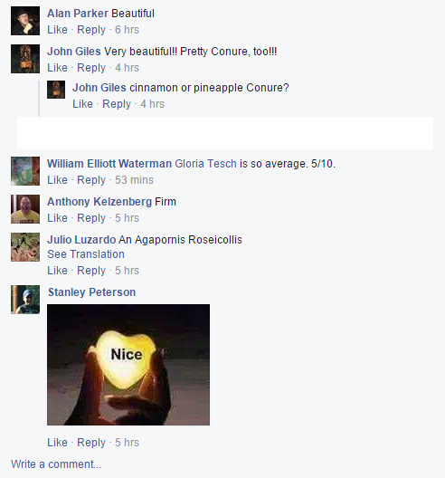 ween.jpg