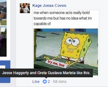 WELP.png