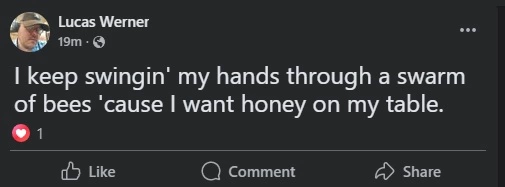 wernhoney.webp