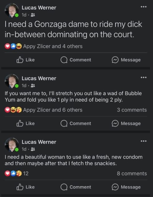 wernwtf.jpg