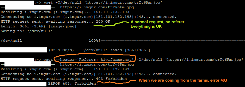 wget.png