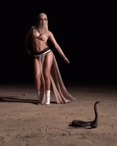 what-a-nice-snake.gif