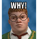 why.png