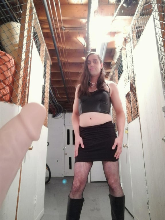 why2.jpg