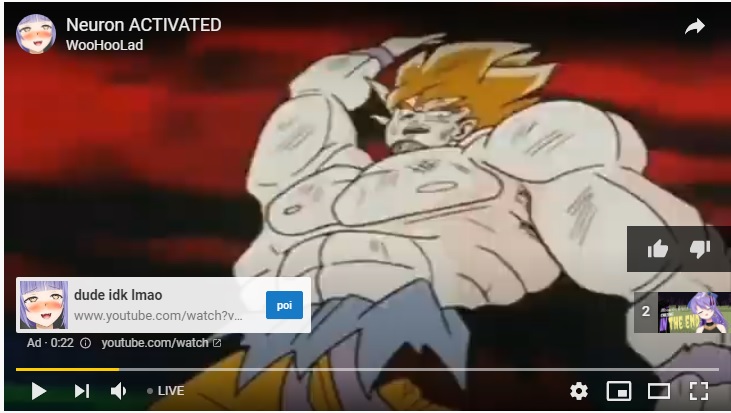 Wtf.jpg