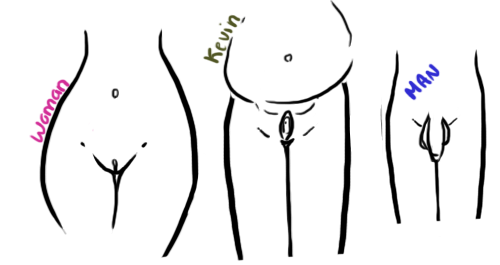 wtf.png