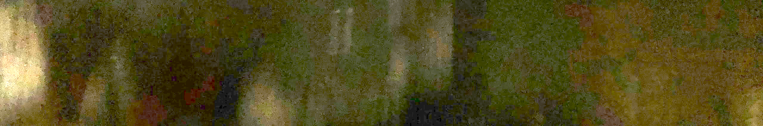 wtf2.png