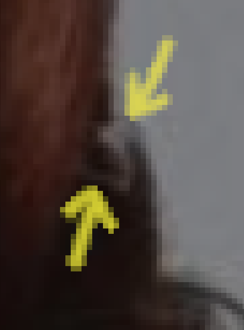 wtfhair2.png