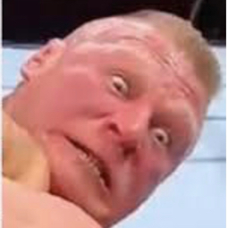 X2.png