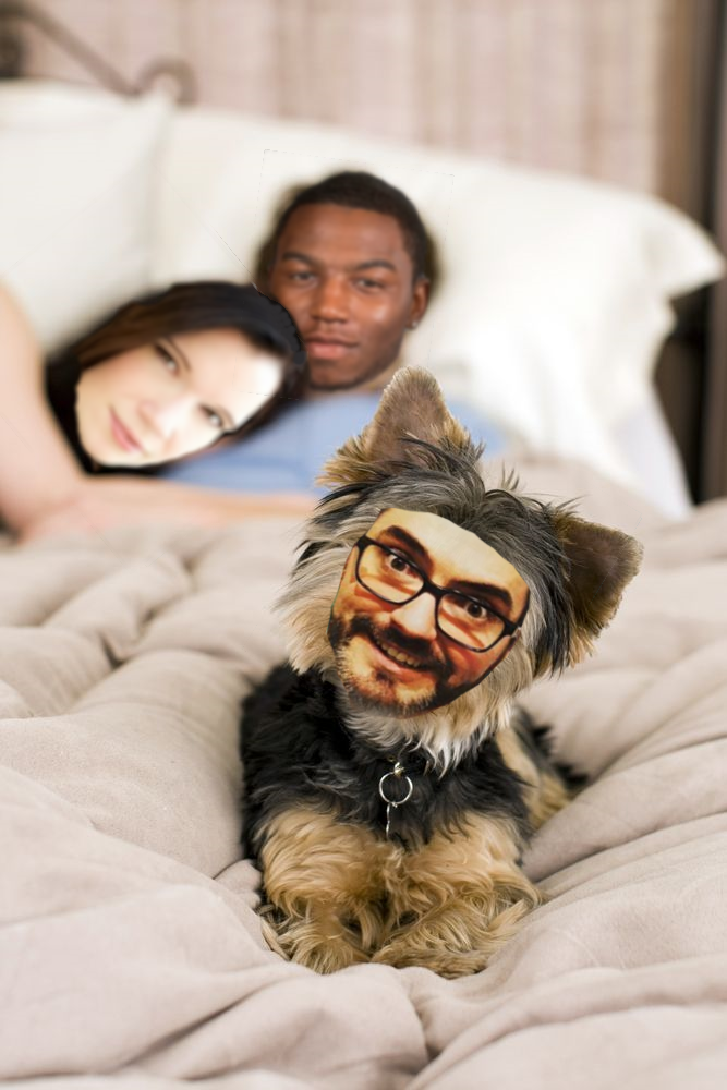 zrzdt.png
