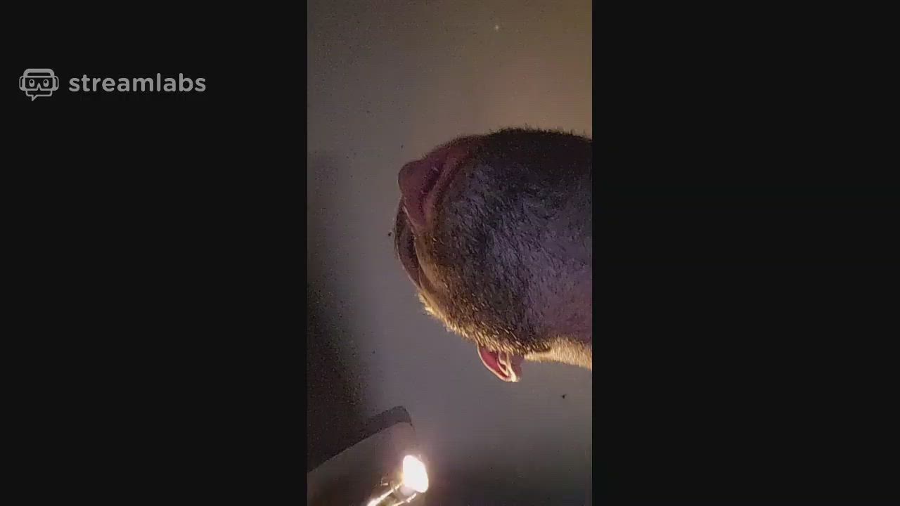 neatclip.com