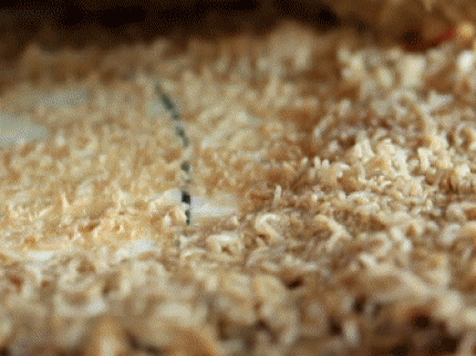 Casu-Marzu-also-known-as-Maggot-Cheese-2.gif