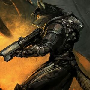 www.furiffic.com