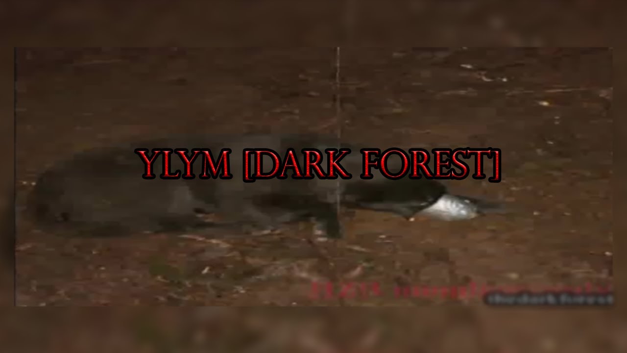youtu.be