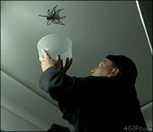 SMPQgix.gif