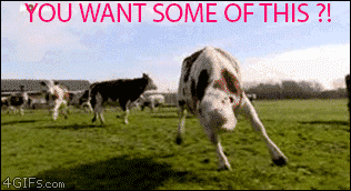 pHAW8uD.gif