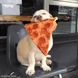 d43a1829b5db578b5429be81d763a13a0f32da97_hq.gif