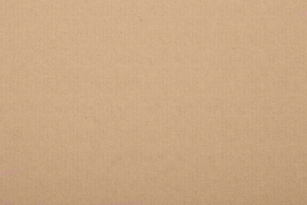 archive.li