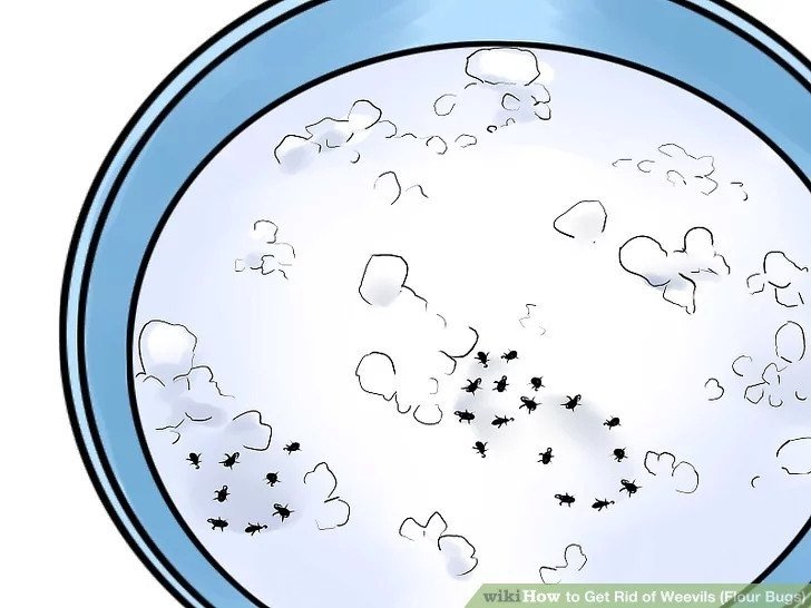 www.pestwiki.com