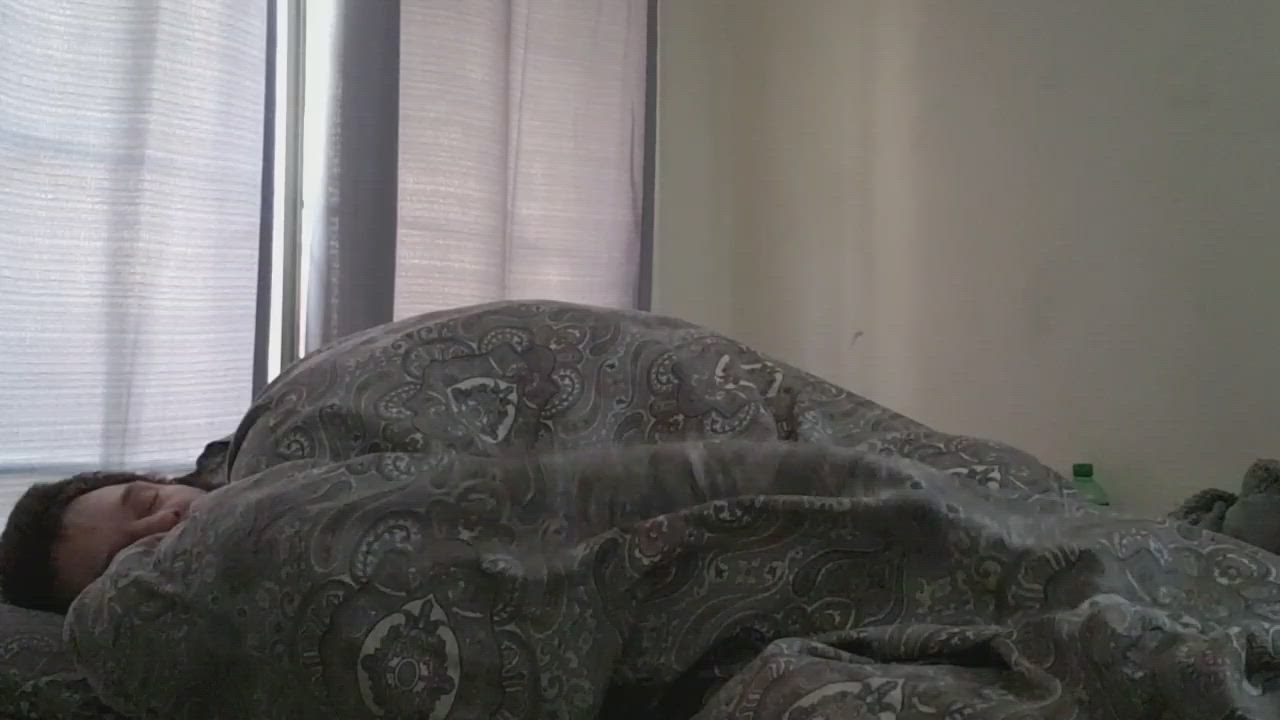 neatclip.com