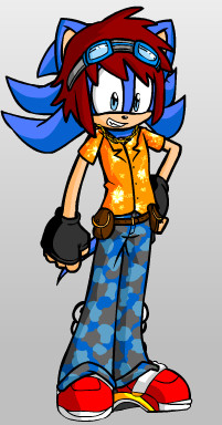 GST_The_Hedgie_New_Version_by_Generalsupertoad.jpg