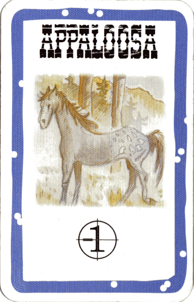 appaloosa.png
