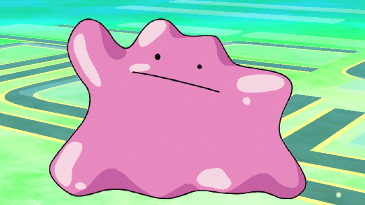 ditto-1470175921403_1280w.jpg