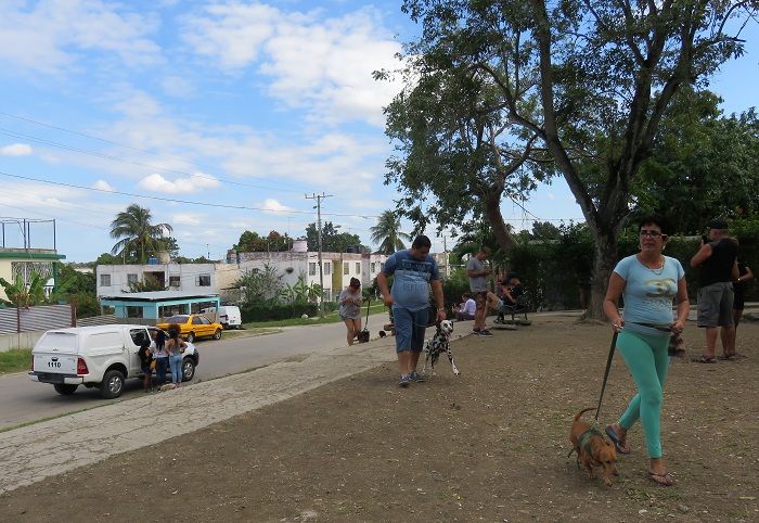 Personas-llegando-con-sus-mascotas.jpg