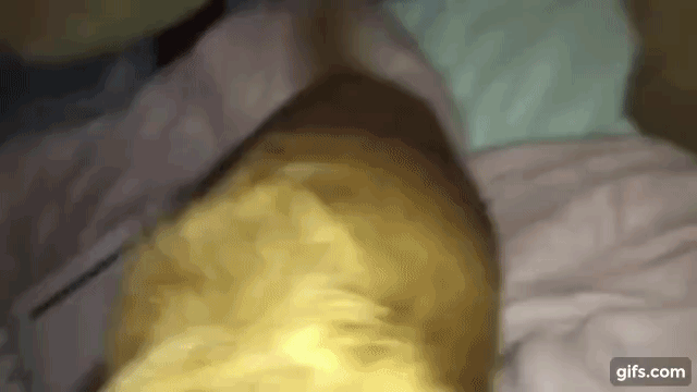 XovQWW.gif