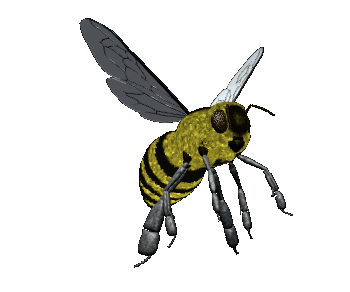 RRc0YbA.gif