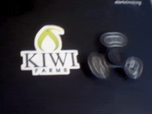 KUo2xLJ.gif