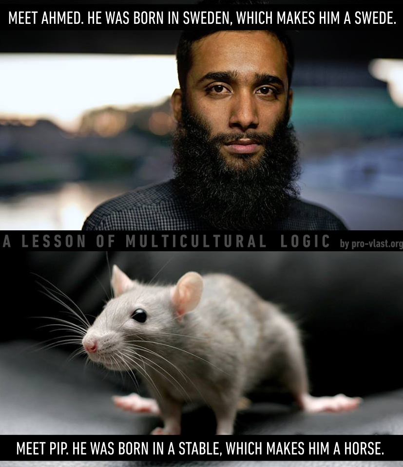 multiculty-logic.png