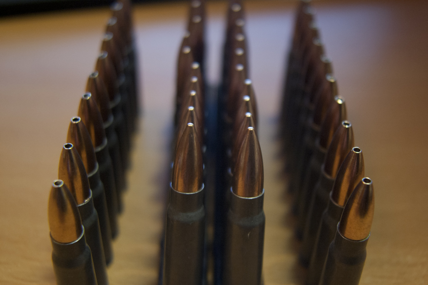 www.thefirearmblog.com