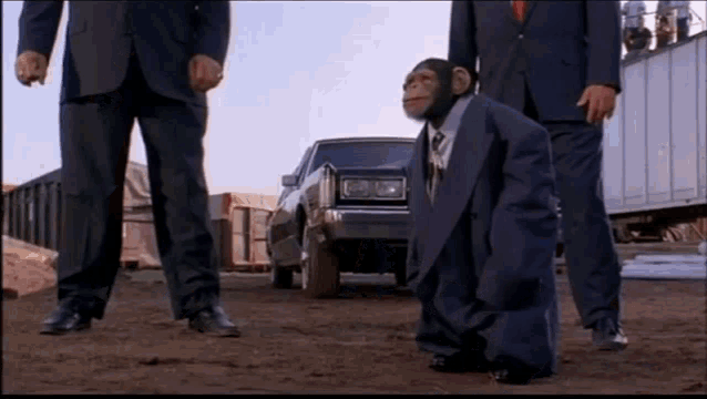 monke-monkey.gif