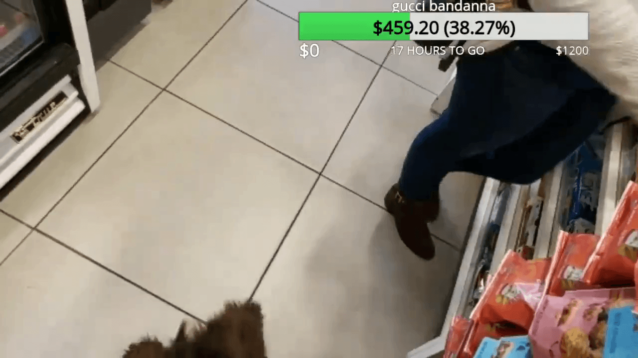 neatclip.com