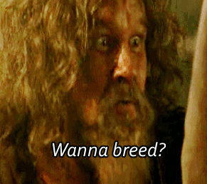 40c4b1e11bcc56ca9fceae55b25f4d9c.gif