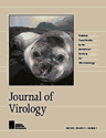 jvi.asm.org