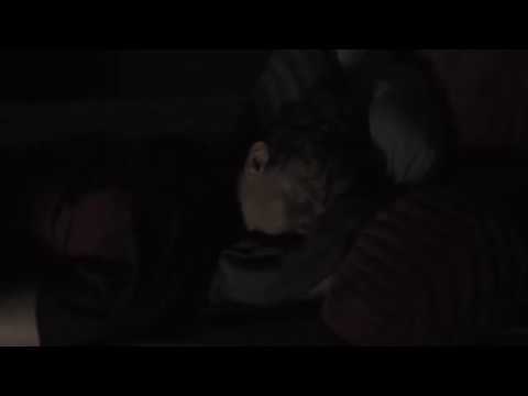 www.youtube.com