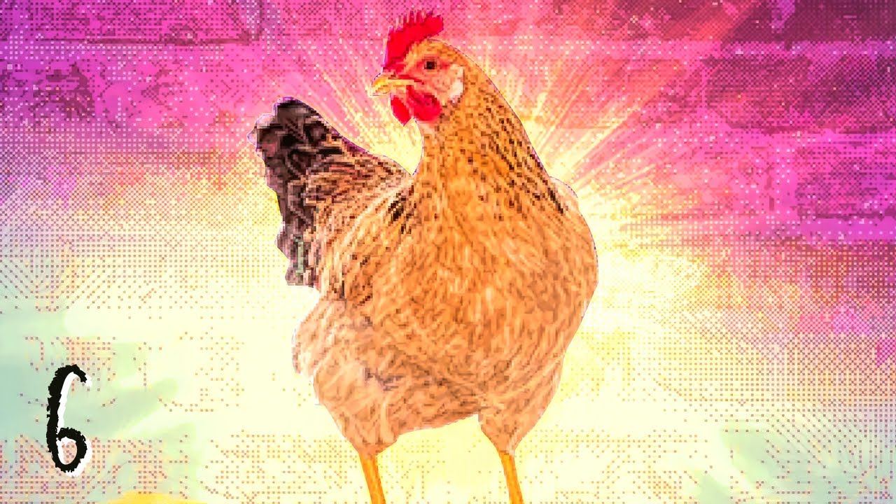 www.youtube.com