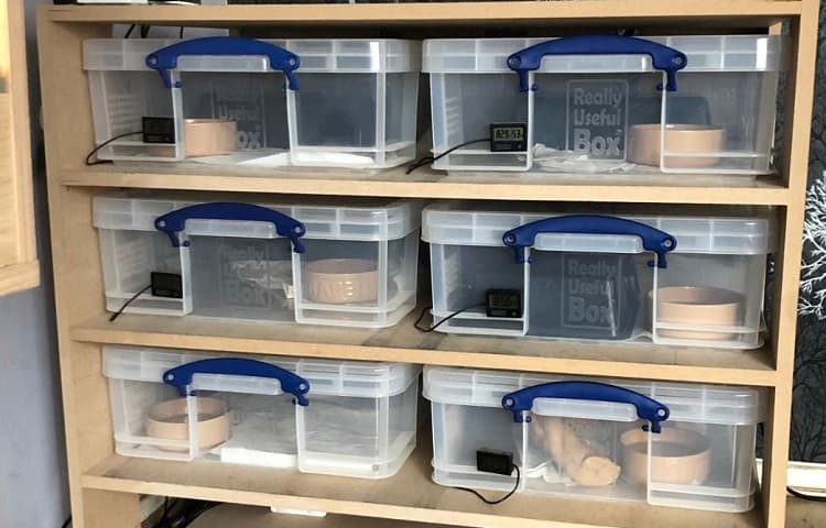 snake-rack-set-up.jpg