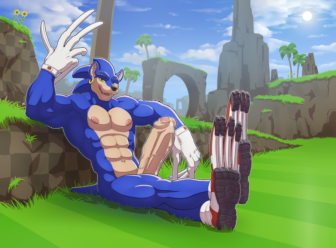 1493608529.longblueclaw_sonic_.png