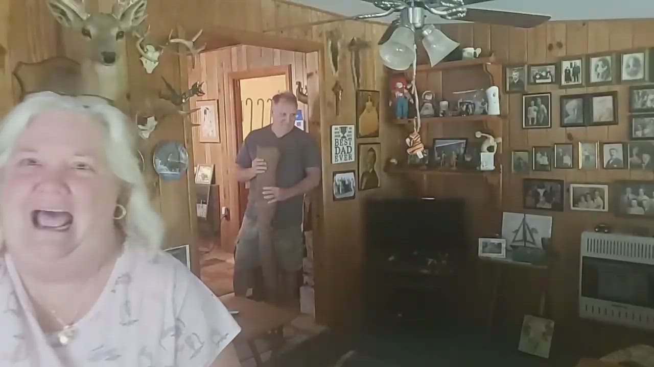 neatclip.com