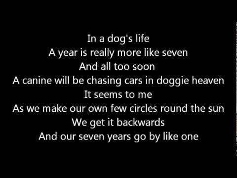 www.youtube.com