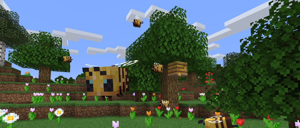 www.minecraft.net