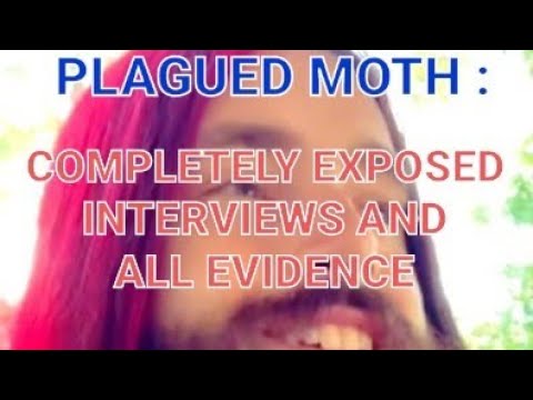 www.youtube.com