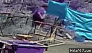 aethzw.gif