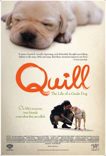 quill-the-life-of-a-guide-dog-web__oPt.jpg